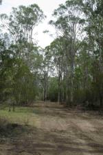 Hunter Lowland Redgum Forest in the Sydney Basin and NSW North Coast Bioregions