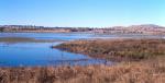 Upland Wetlands of the Drainage Divide of the New England Tablelands