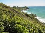 Littoral Rainforest in the NSW North Coast, Sydney Basin and South East Corner Bioregions