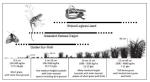 Grass structure and habitat suitability for some threatened grassland fauna.